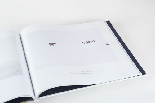 Hestur, le livre photo