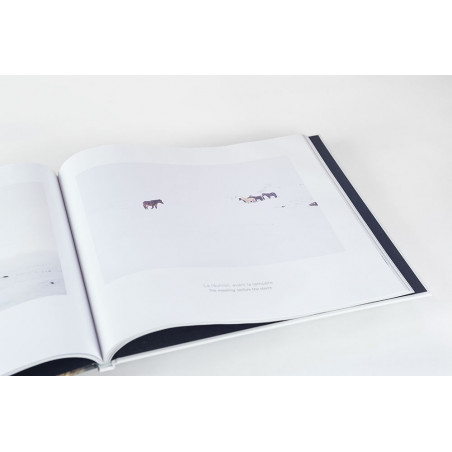 Hestur, le livre photo