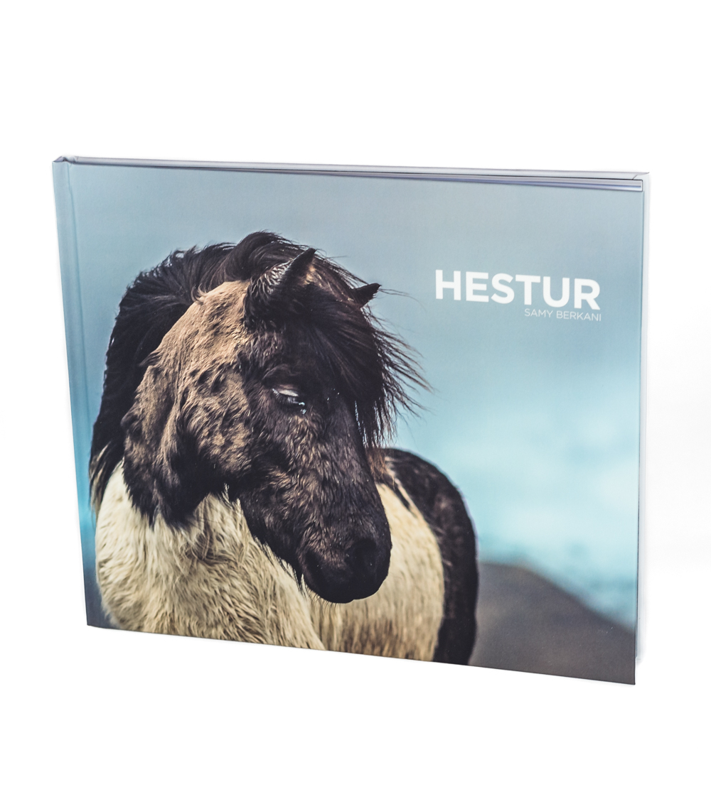 Livre Hestur, cheval en terre d'Islande