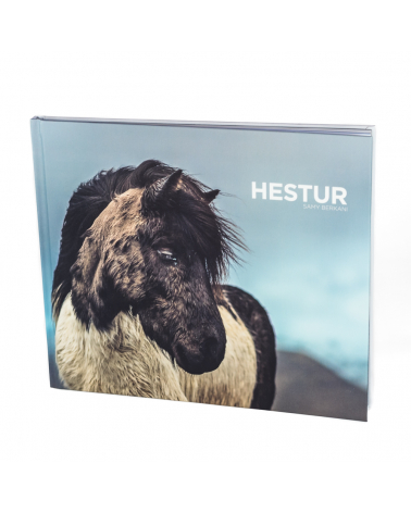 Livre Hestur, cheval en terre d'Islande