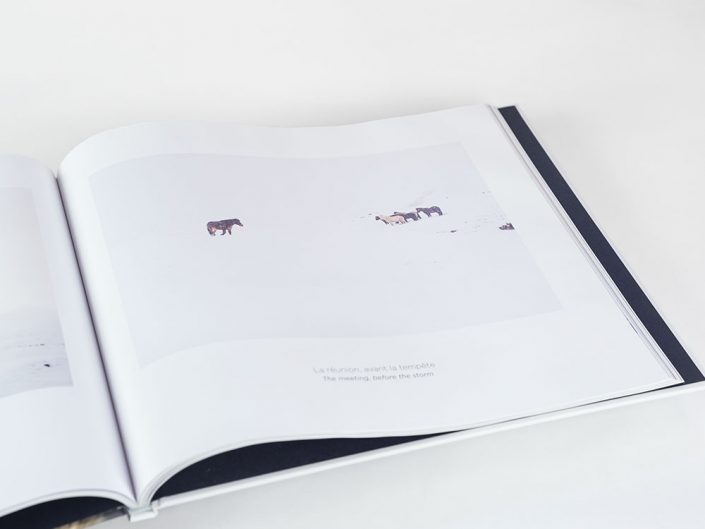 Photo book Hestur, Horse in Iceland