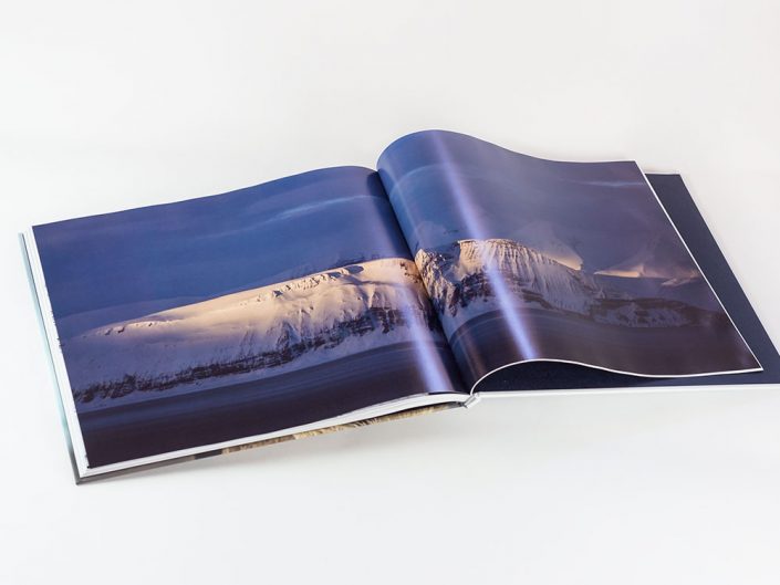 Livre photo Hestur, Cheval en terre d'Islande