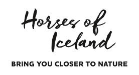 Horses of Iceland, promote iceland