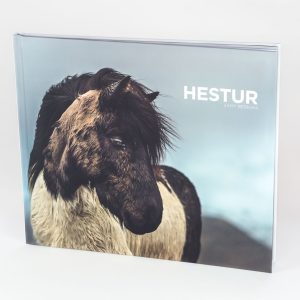 Livre sur le cheval islandais